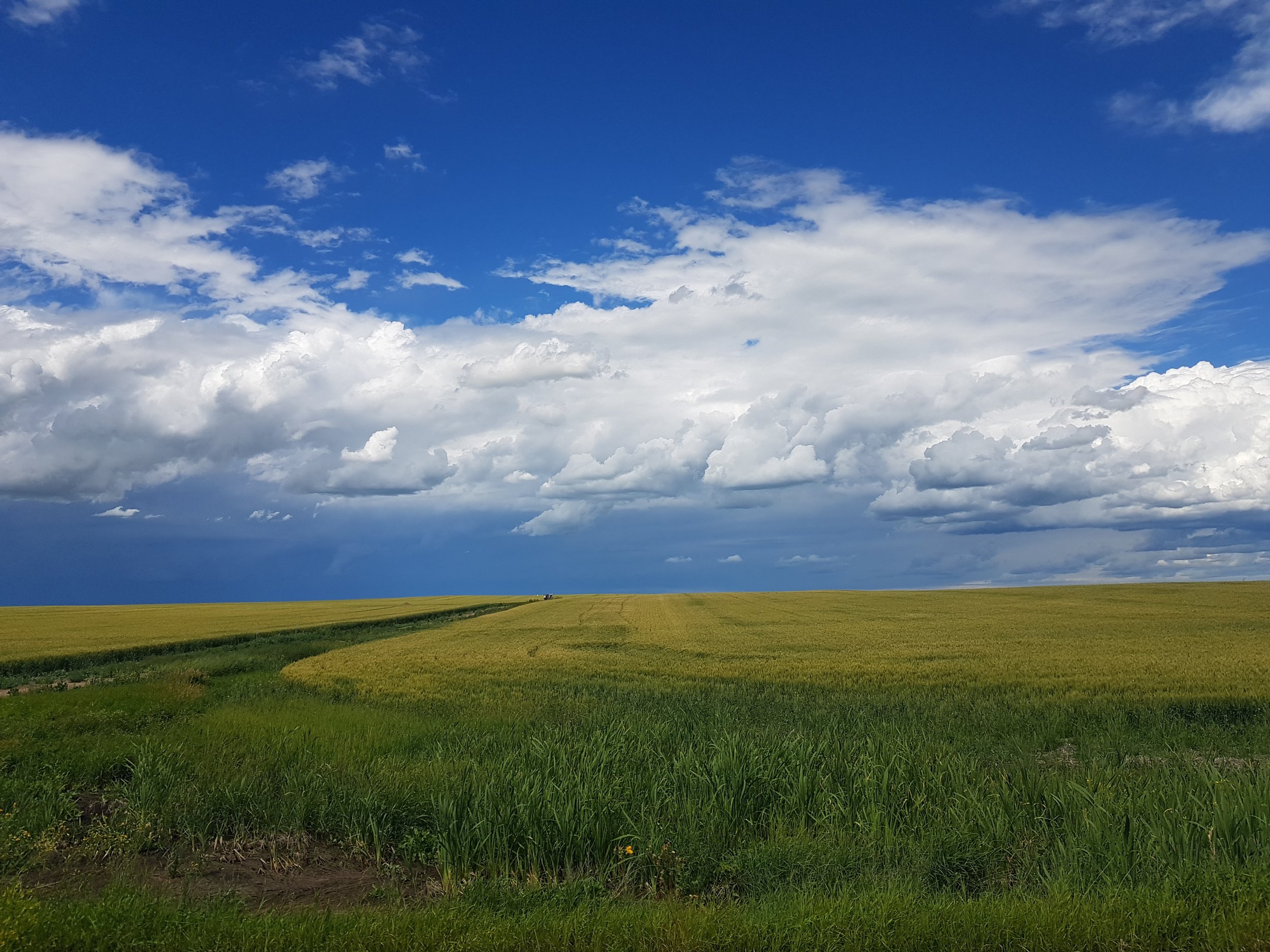 Open undeveloped farmland under a partly cloudy sky